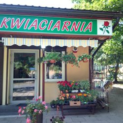 Kwiaciarnia Magdalenka (Poznań )