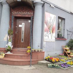 Kwiaciarnia Magia Kwiatów (Chojnice )