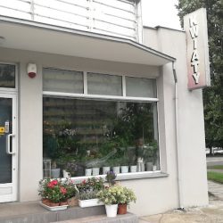 Kwiaciarnia Magia Kwiatów Bukiety Wiązanki (Gdańsk )