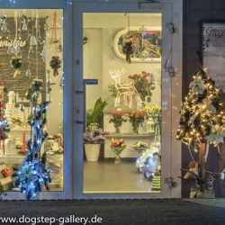 Kwiaciarnia Magia Kwiatów Wioletta Radzińska (Wilkowice en Merlo San Luis)