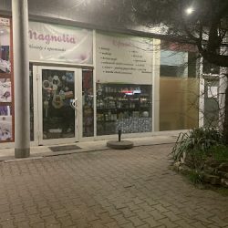 Kwiaciarnia Magnolia (Bytom )