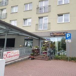 Kwiaciarnia Magnolia (Opole )