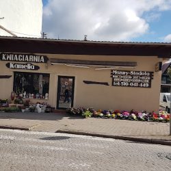 Kwiaciarnia Magnolia (Olsztynek )