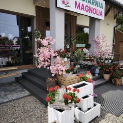Kwiaciarnia Magnolia - Agnieszka Jekiełek (Grojec )