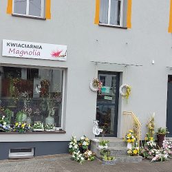Kwiaciarnia Magnolia Elżbieta Jakosz (Pietrowice Wielkie )