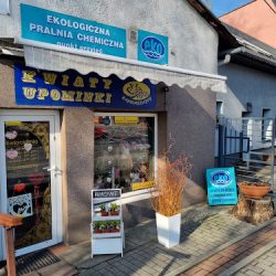 Kwiaciarnia Magnolia Kwiaty I Upominki (Radzionków )
