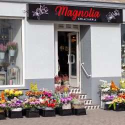 Kwiaciarnia. Magnolia. Ostrzeszów. (Ostrzeszów en Merlo San Luis)