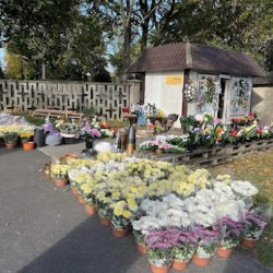 Kwiaciarnia ,,magnolia'' - Przy Cmentarzu (Głogów )