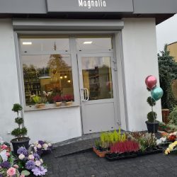 Kwiaciarnia „magnolia
