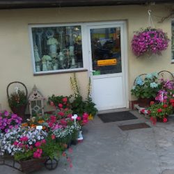 Kwiaciarnia Magnolia Sulejówek Miłosna (Sulejówek )