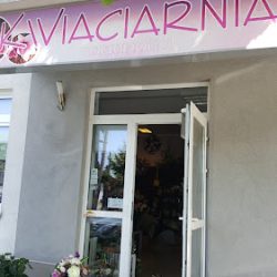 Kwiaciarnia Magnolia Wołomin (Wołomin )