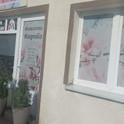 Kwiaciarnia Magnolia (Chocz en Merlo San Luis)