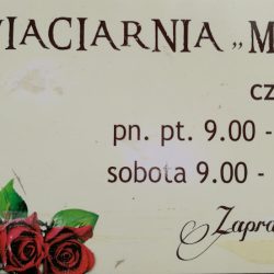 Kwiaciarnia Maja Mąkolno (Mąkolno en Merlo San Luis)
