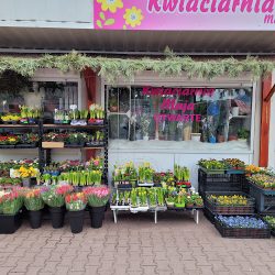 Kwiaciarnia Maja W Mińsku Mazowieckim (Mińsk Mazowiecki )