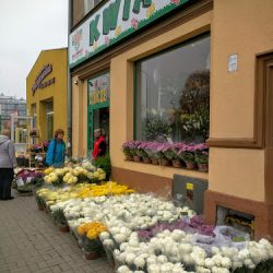 Kwiaciarnia Majewscy (Legnica )
