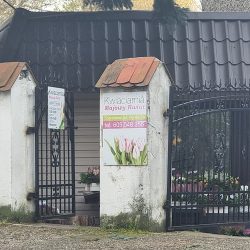 Kwiaciarnia „majowy Kwiat” (Sosnowiec )