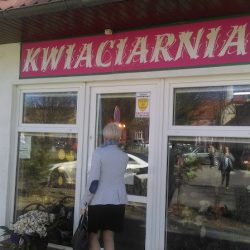 Kwiaciarnia Małgorzata Zalewa (Pleszew en Merlo San Luis)