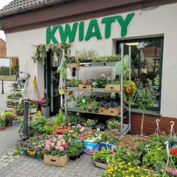 Kwiaciarnia Malwa (Mikołów )