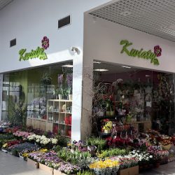 Kwiaciarnia Malwa (Zielona Góra )