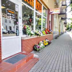 Kwiaciarnia Malwa Ełk (Ełk )