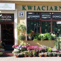 Kwiaciarnia Margaretka (Chojnice )