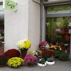 Kwiaciarnia Margaretka (Wrocław )