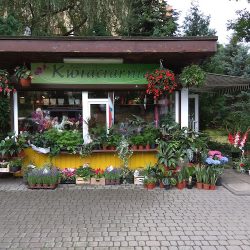 Kwiaciarnia 