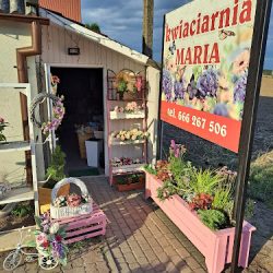 Kwiaciarnia Maria (Przysiersk )