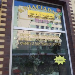 Kwiaciarnia Marta (Wrocław )