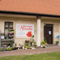 Kwiaciarnia Mercedes Wiązanki ślubne, Kwiaty Cięte, Kwiaty Doniczkowe, Wiązanki Pogrzebowe, Upominki (Zduny en Merlo San Luis)