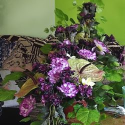 Kwiaciarnia Miętkiewicz (Piotrków Kujawski )