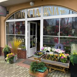 Kwiaciarnia Milenium (Braniewo )
