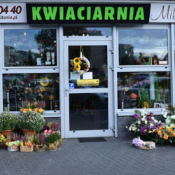 Kwiaciarnia - Miltonia (Białystok )