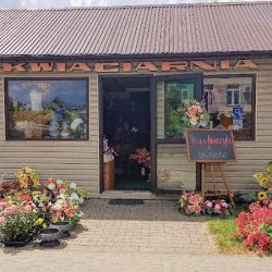 Kwiaciarnia Miriam (Włodawa en Merlo San Luis)