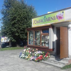 Kwiaciarnia Mk Miłosz Krajewski (Korsze )