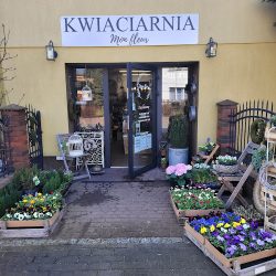Kwiaciarnia Mon Fleur (Oborniki en Merlo San Luis)