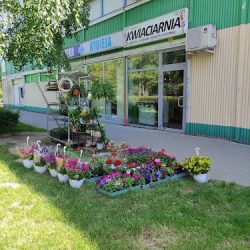 Kwiaciarnia Motyli Raj (Kraków )