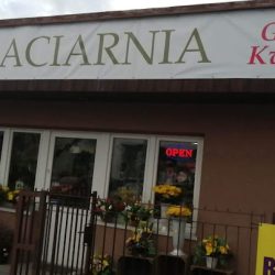 Kwiaciarnia Myślenice Galeria Kwiatów (Myślenice )