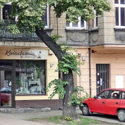 Kwiaciarnia Na Krzyżowej (Chorzów )