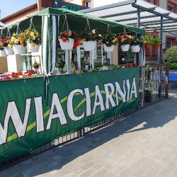 Kwiaciarnia Na Podzamczu Jeziorna Mirela. (Wieruszów )