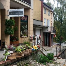 Kwiaciarnia Na Przechodniej (Ostróda )