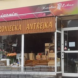 Kwiaciarnia Na Rynku Aniela Orzechowska (Wronki en Merlo San Luis)