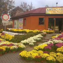 Kwiaciarnia Na Skarpie (Morąg )