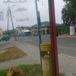 Kwiaciarnia Na Skarpie. Piechowiak K. (Kazimierz Biskupi en Merlo San Luis)