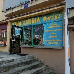 Kwiaciarnia Narcyz (Głubczyce en Merlo San Luis)