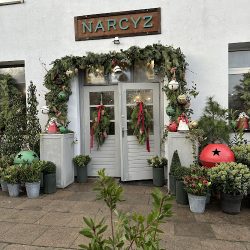 Kwiaciarnia Narcyz (Gdynia )