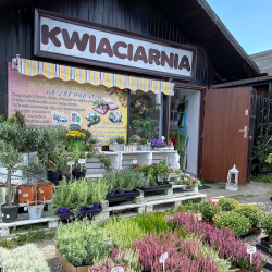 Kwiaciarnia Natalia (Pszczyna )