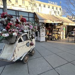 Kwiaciarnia Natura (Katowice )