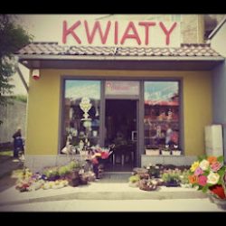 Kwiaciarnia Nature-art (Krapkowice en Merlo San Luis)