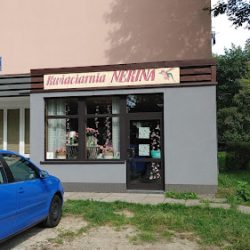 Kwiaciarnia Nerina (Jaworzno )